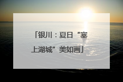 银川：夏日“塞上湖城”美如画