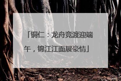 铜仁：龙舟竞渡迎端午，锦江江面展豪情