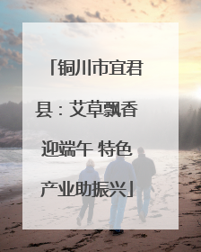 铜川市宜君县：艾草飘香迎端午 特色产业助振兴