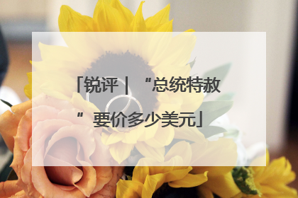 锐评｜“总统特赦”要价多少美元