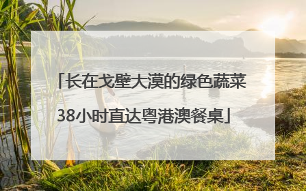 长在戈壁大漠的绿色蔬菜38小时直达粤港澳餐桌