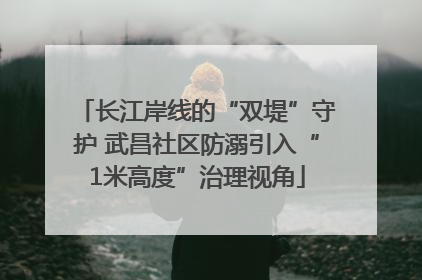 长江岸线的“双堤”守护 武昌社区防溺引入“1米高度”治理视角