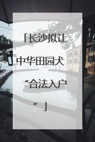 长沙拟让中华田园犬“合法入户”