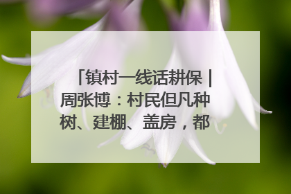 镇村一线话耕保｜周张博：村民但凡种树、建棚、盖房，都要向街道报批