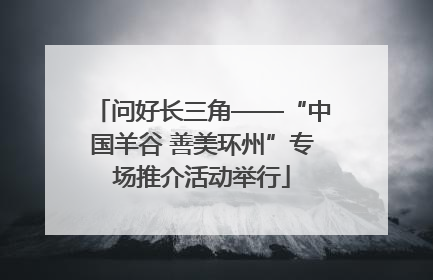 问好长三角——“中国羊谷 善美环州”专场推介活动举行
