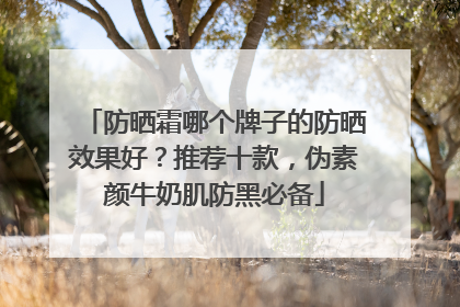 防晒霜哪个牌子的防晒效果好?推荐十款,伪素颜牛奶肌防黑必备