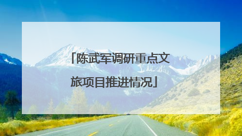 陈武军调研重点文旅项目推进情况