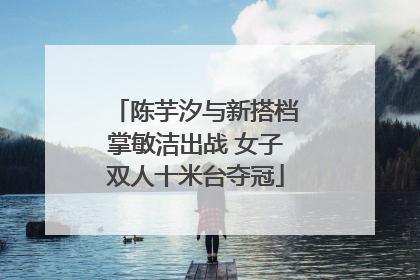陈芋汐与新搭档掌敏洁出战 女子双人十米台夺冠