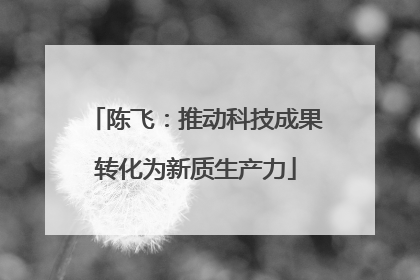陈飞：推动科技成果转化为新质生产力