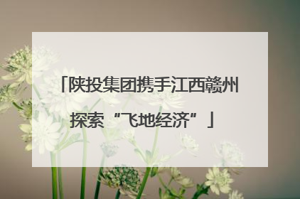 陕投集团携手江西赣州 探索“飞地经济”