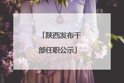 陕西发布干部任职公示