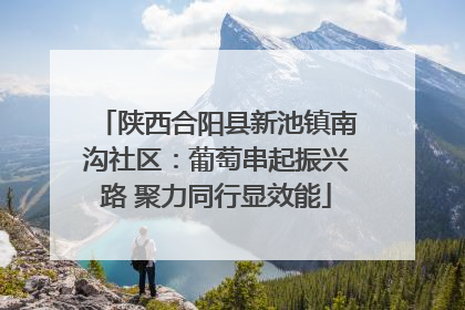 陕西合阳县新池镇南沟社区：葡萄串起振兴路 聚力同行显效能