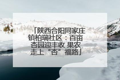 陕西合阳同家庄镇柏瑞社区：百亩杏园迎丰收 果农走上“杏”福路