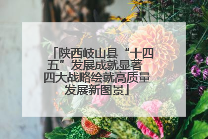 陕西岐山县“十四五”发展成就显著 四大战略绘就高质量发展新图景