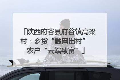 陕西府谷县府谷镇高梁村：乡货“触网出村” 农户“云端致富”