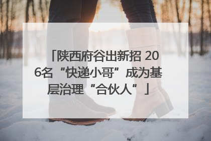 陕西府谷出新招 206名“快递小哥”成为基层治理“合伙人”