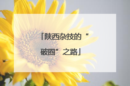 陕西杂技的“破圈”之路