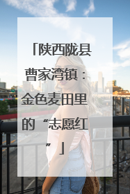 陕西陇县曹家湾镇：金色麦田里的“志愿红”