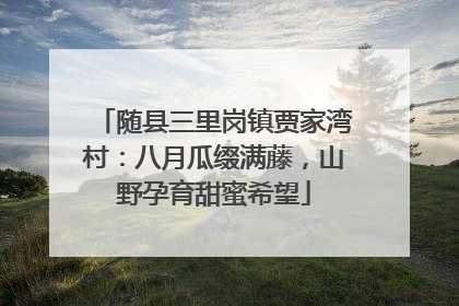 随县三里岗镇贾家湾村：八月瓜缀满藤，山野孕育甜蜜希望