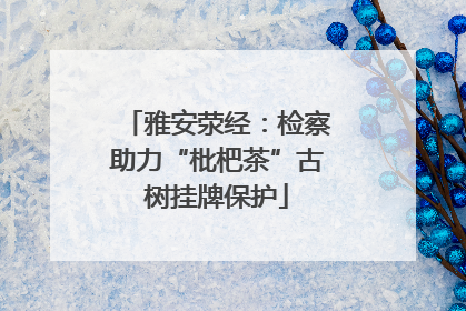 雅安荥经：检察助力“枇杷茶”古树挂牌保护