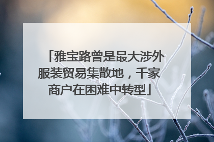 雅宝路曾是最大涉外服装贸易集散地，千家商户在困难中转型