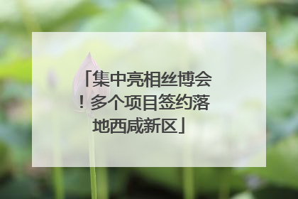 集中亮相丝博会！多个项目签约落地西咸新区