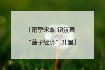 雨季来临 镇沅县“菌子经济”升温