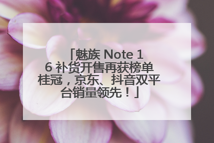 魅族 Note 16 补货开售再获榜单桂冠，京东、抖音双平台销量领先！