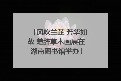 风吹兰芷 芳华如故 楚辞草木画展在湖南图书馆举办