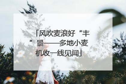 风吹麦浪好“丰”景——多地小麦机收一线见闻