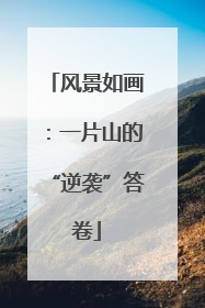 风景如画：一片山的“逆袭”答卷