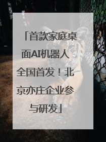 首款家庭桌面AI机器人全国首发！北京亦庄企业参与研发