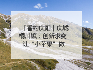 香约庆阳｜庆城桐川镇：创新求变 让“小苹果”做成“大产业”