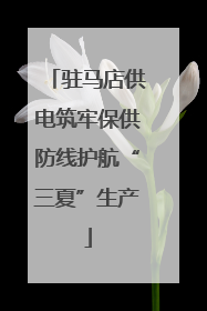 驻马店供电筑牢保供防线护航“三夏”生产