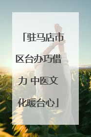 驻马店市区台办巧借力 中医文化暖台心