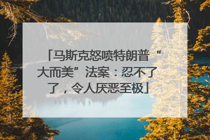 马斯克怒喷特朗普“大而美”法案：忍不了了，令人厌恶至极