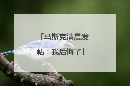 马斯克清晨发帖：我后悔了