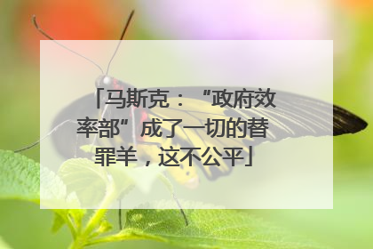 马斯克：“政府效率部”成了一切的替罪羊，这不公平