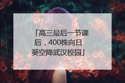 高三最后一节课后，400株向日葵空降武汉校园