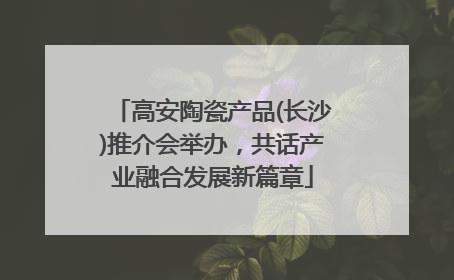 高安陶瓷产品(长沙)推介会举办，共话产业融合发展新篇章