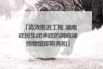 高效推进工程 湖南建投集团承建的洞庭湖博物馆即将亮相