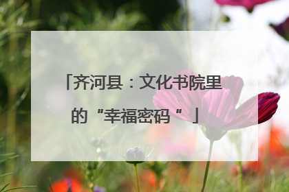 齐河县：文化书院里的“幸福密码 ”