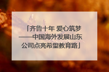 齐鲁十年 爱心筑梦——中国海外发展山东公司点亮希望教育路