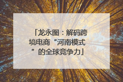 龙永图：解码跨境电商“河南模式”的全球竞争力