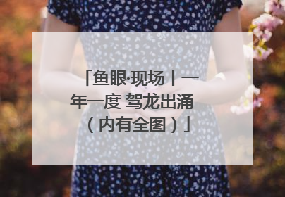 鱼眼·现场丨一年一度 驾龙出涌（内有全图）