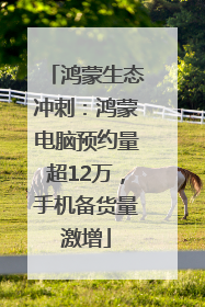 鸿蒙生态冲刺：鸿蒙电脑预约量超12万，手机备货量激增