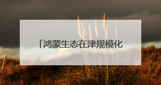 鸿蒙生态在津规模化发展，政企全面加速内部办公应用适配