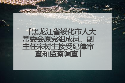 黑龙江省绥化市人大常委会原党组成员、副主任宋树生接受纪律审查和监察调查