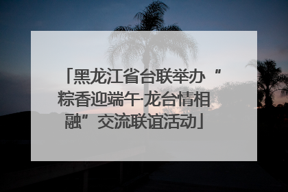 黑龙江省台联举办“粽香迎端午·龙台情相融”交流联谊活动