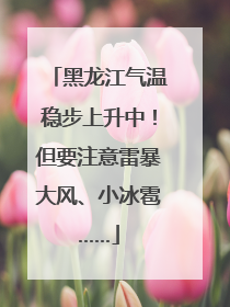 黑龙江气温稳步上升中！但要注意雷暴大风、小冰雹……
